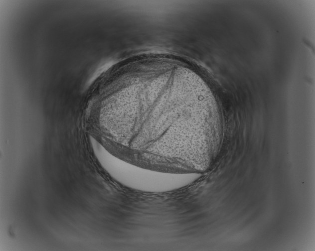 X0000096941255200803070958