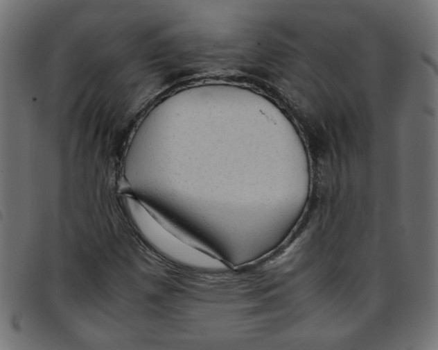 X0000096941257200803070958