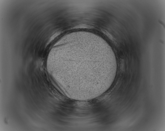 X0000096941258200803070958