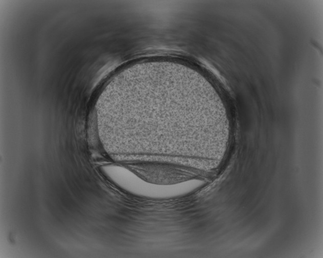 X0000096941259200803070958