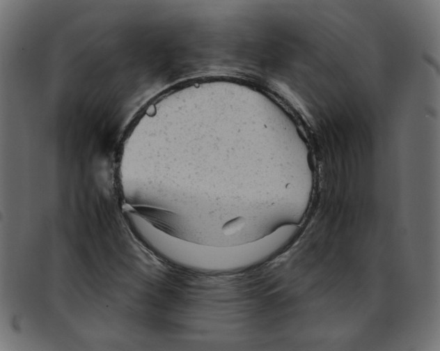 X0000096941260200803070958