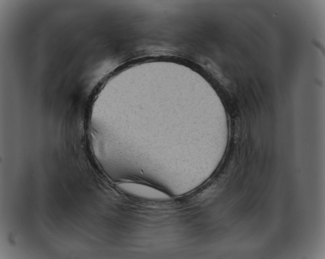 X0000096941261200803070958