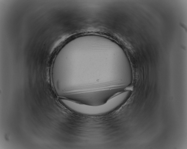 X0000096941262200803070958