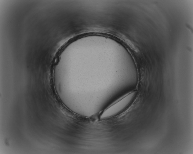 X0000096941264200803070958