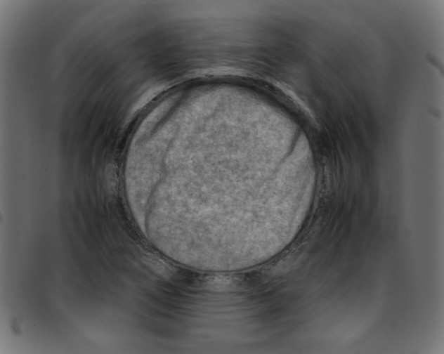 X0000096941266200803070958