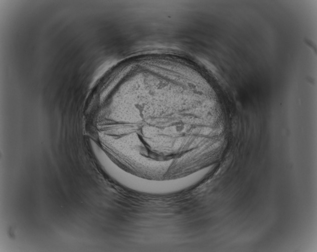 X0000096941267200803070958
