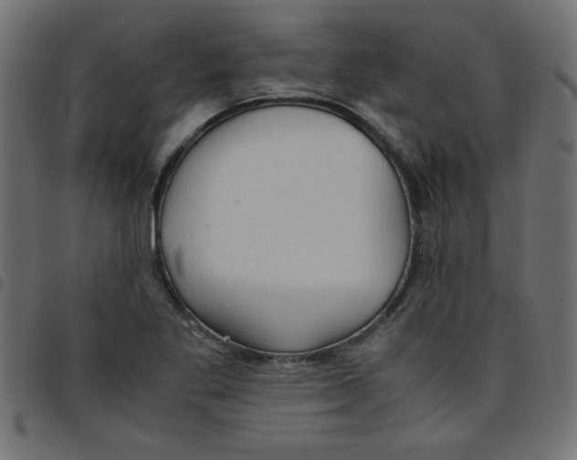 X0000096941269200803070958