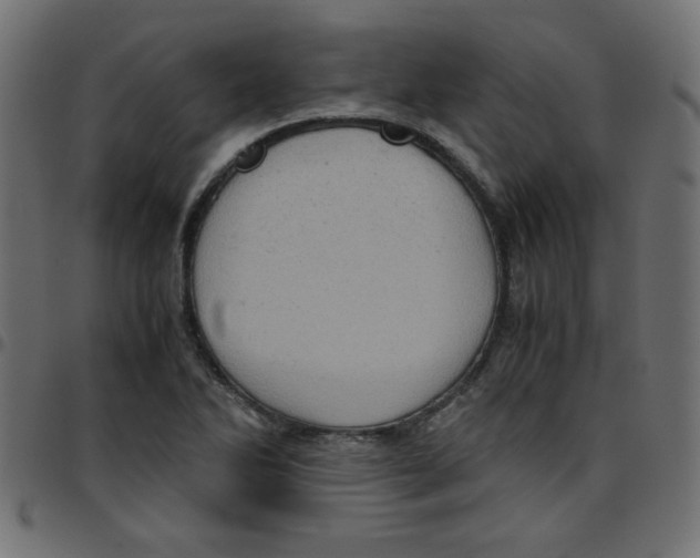 X0000096941270200803070958