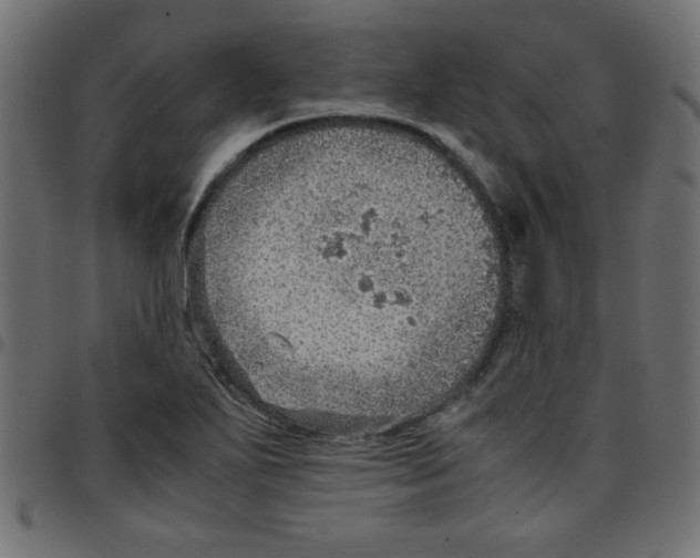 X0000096941271200803070958