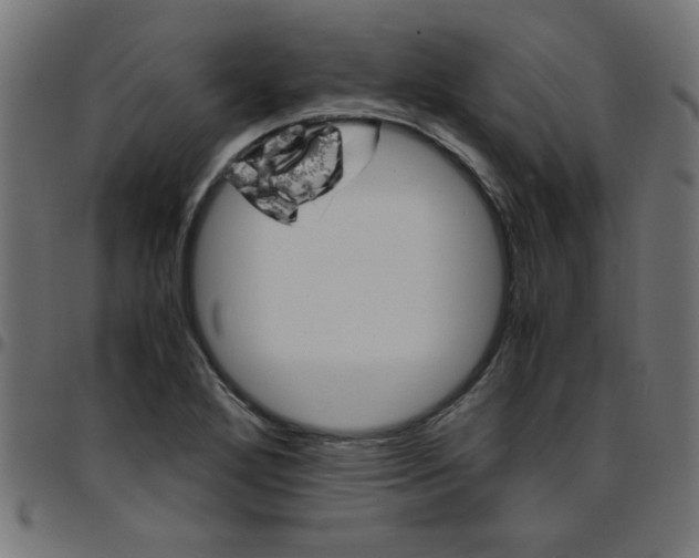 X0000096941272200803070957