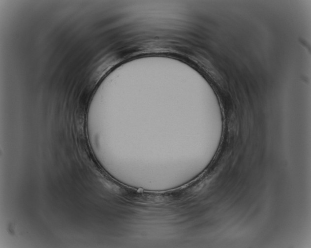 X0000096941273200803070957