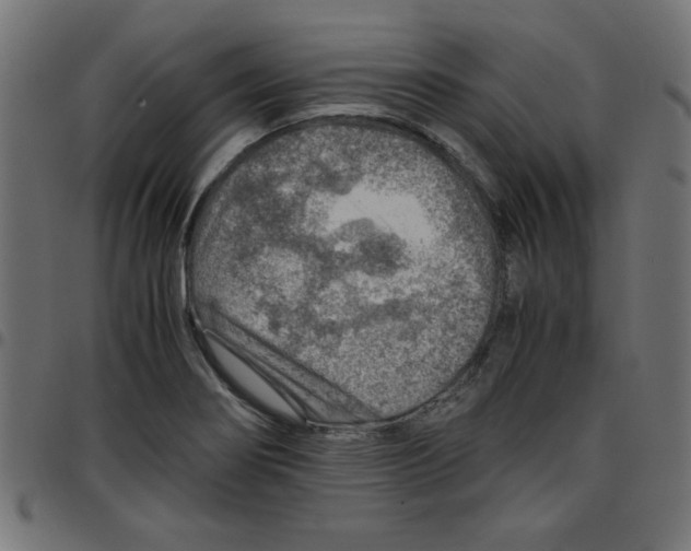 X0000096941274200803070957