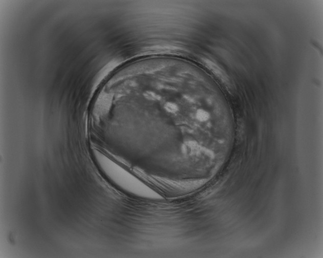 X0000096941275200803070957