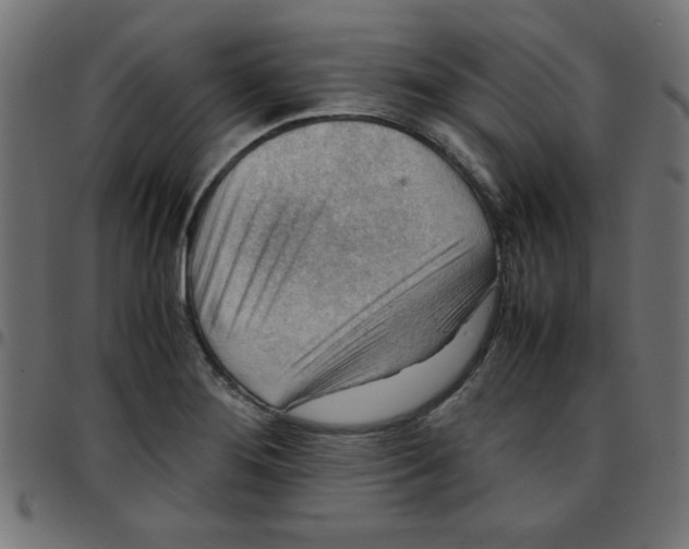 X0000096941276200803070957