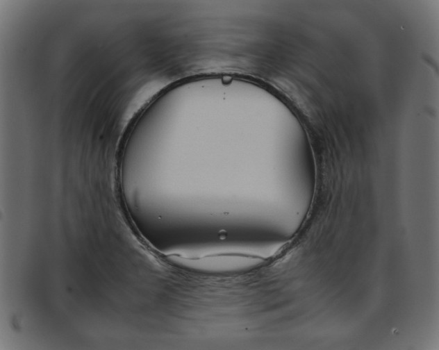 X0000096941277200803070957