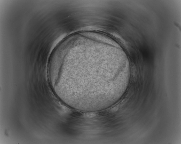 X0000096941278200803070957