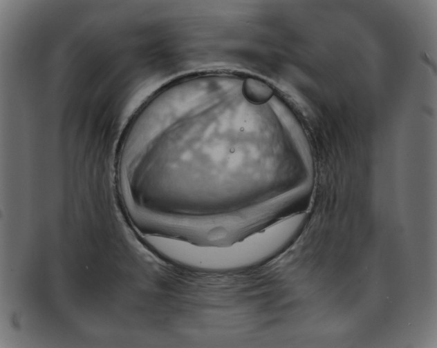 X0000096941279200803070957