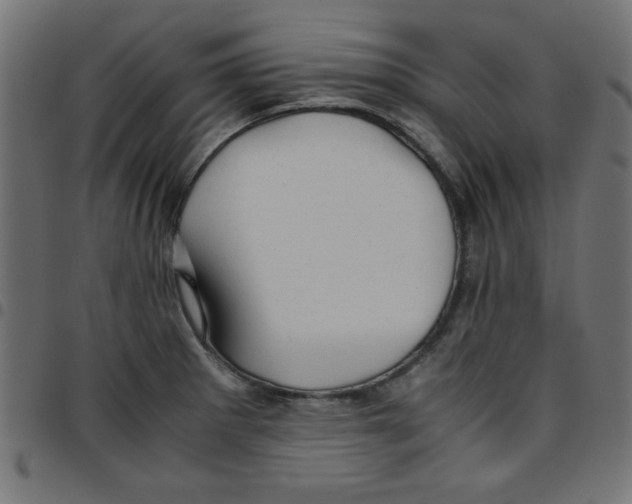 X0000096941281200803070957