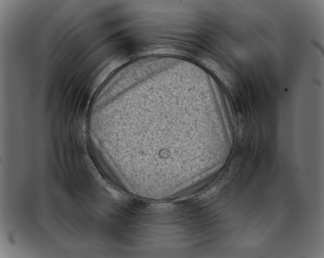 X0000096941282200803070957