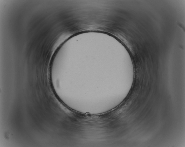 X0000096941285200803070957