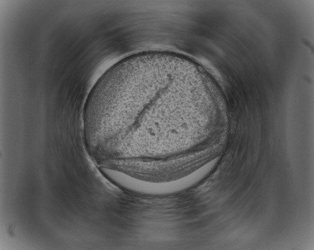 X0000096941287200803070957