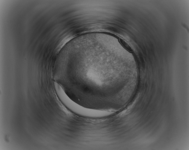 X0000096941289200803070957