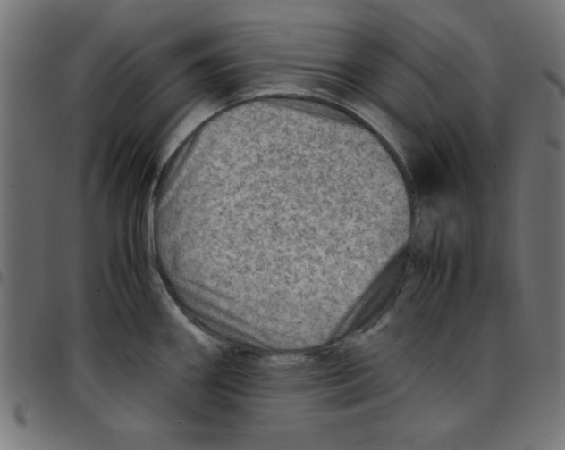 X0000096941290200803070957