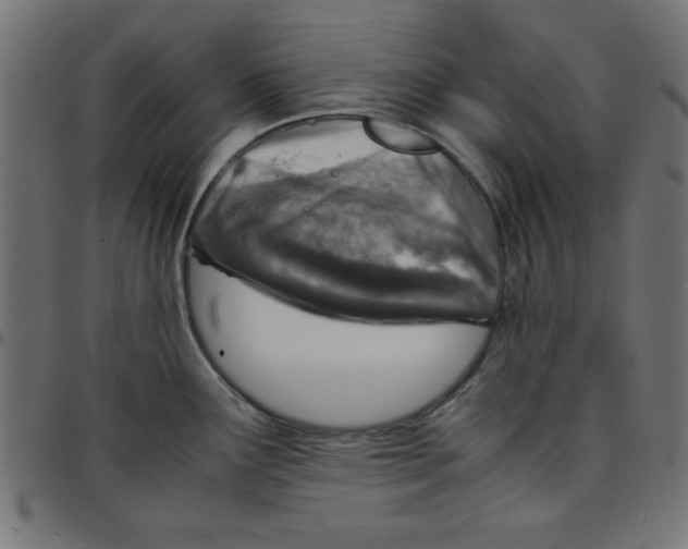 X0000096941291200803070957