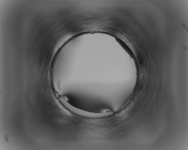 X0000096941293200803070957