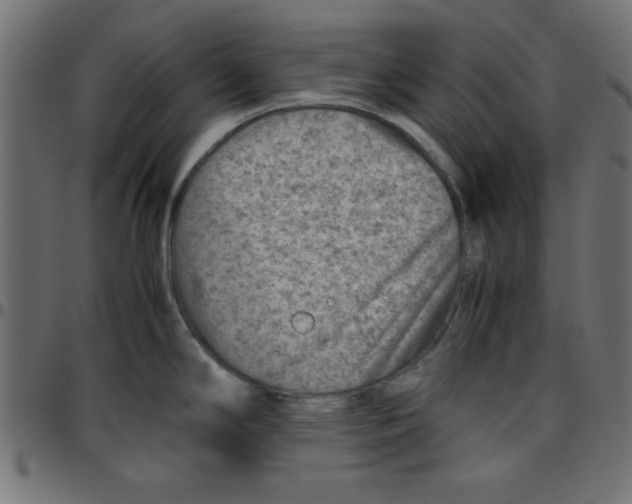 X0000096941294200803070957