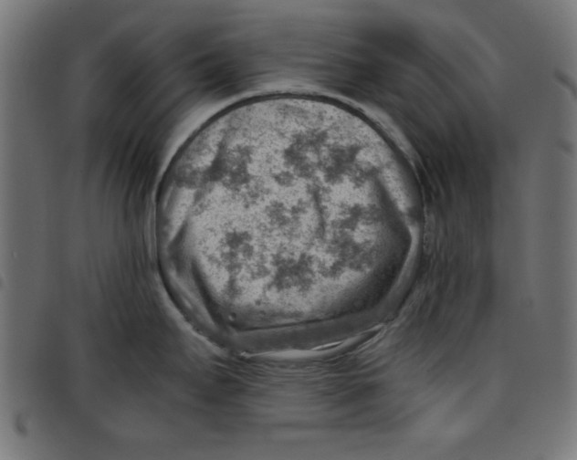 X0000096941295200803070957