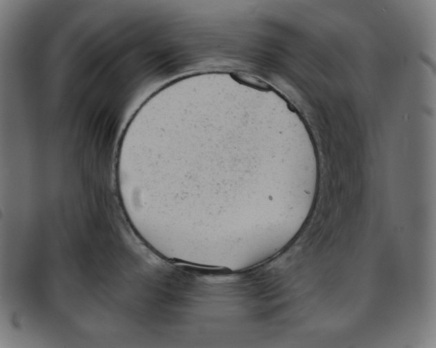 X0000096941296200803070957