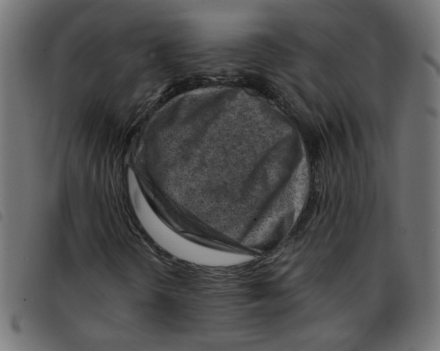 X0000096941298200803070956