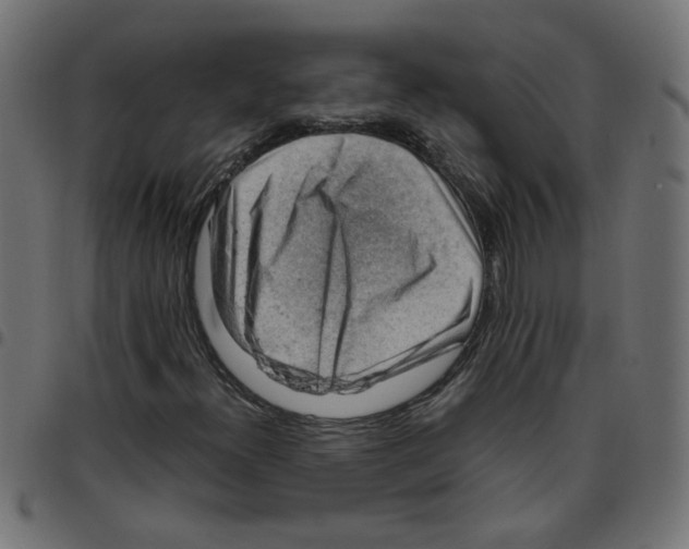 X0000096941300200803070956