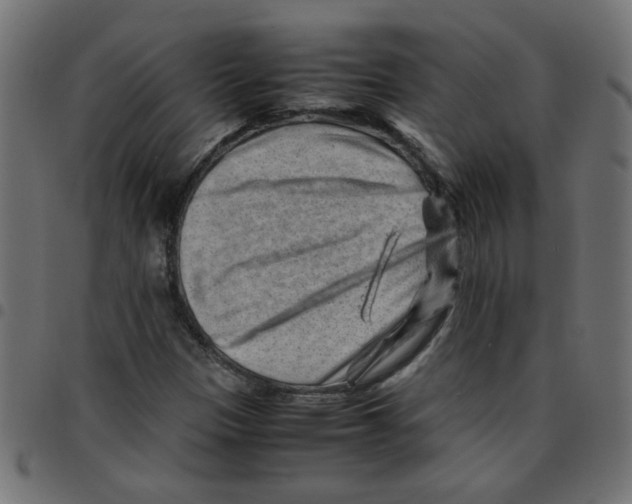 X0000096941305200803070956