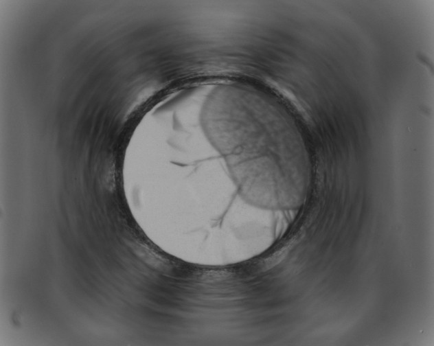 X0000096941306200803070956