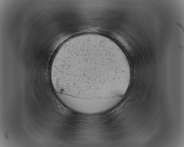 X0000096941308200803070956