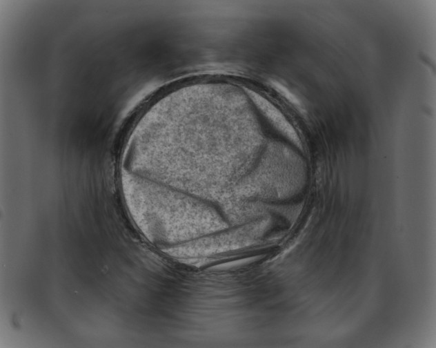 X0000096941310200803070956