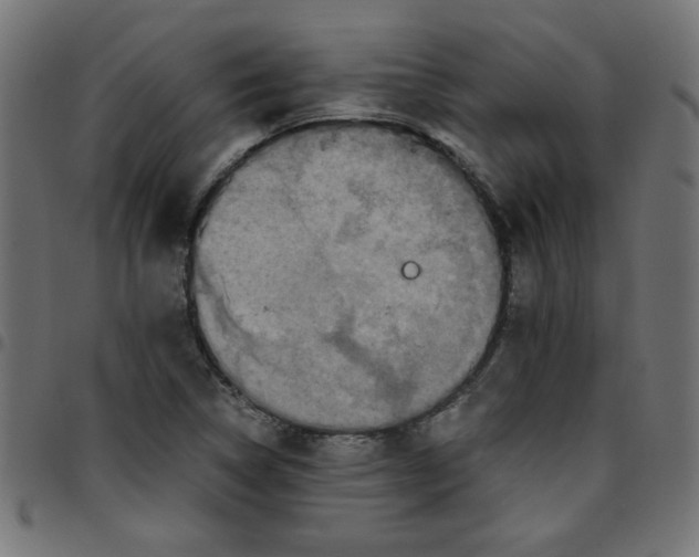 X0000096941314200803070957