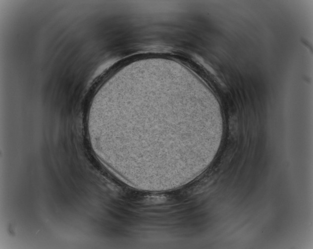 X0000096941315200803070957