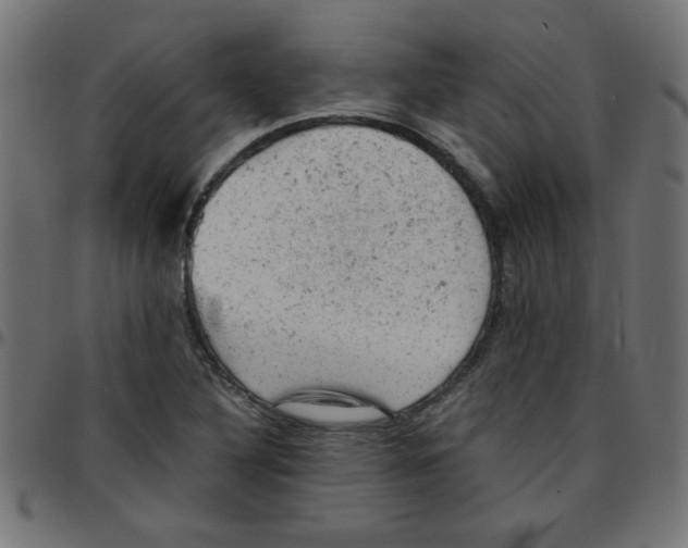 X0000096941316200803070957