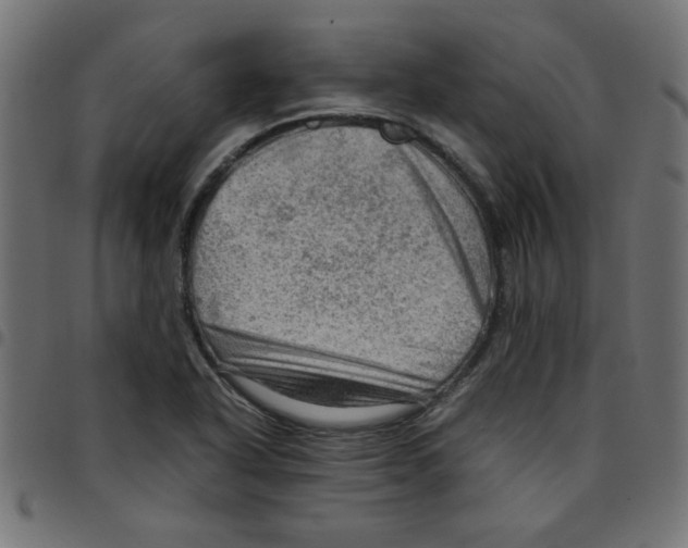 X0000096941318200803070957