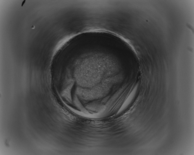 X0000096941319200803070957