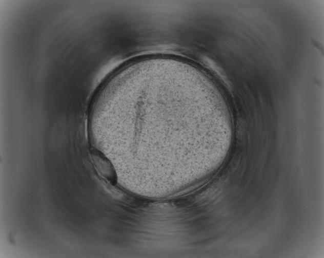 X0000096941320200803070957