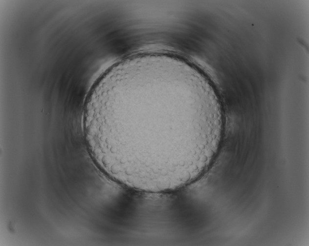 X0000096941322200803070957