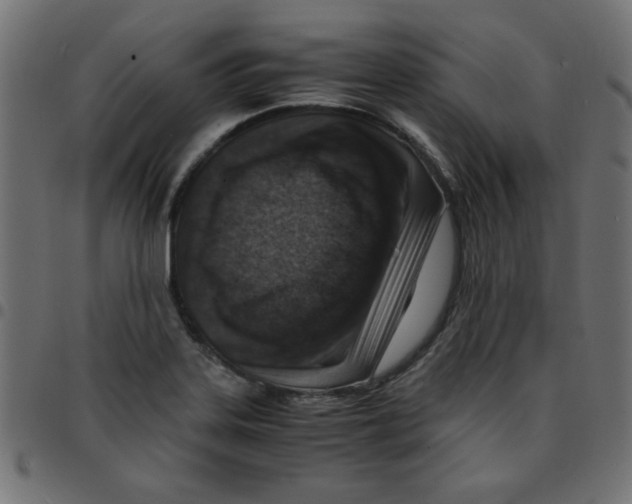 X0000096941323200803070957