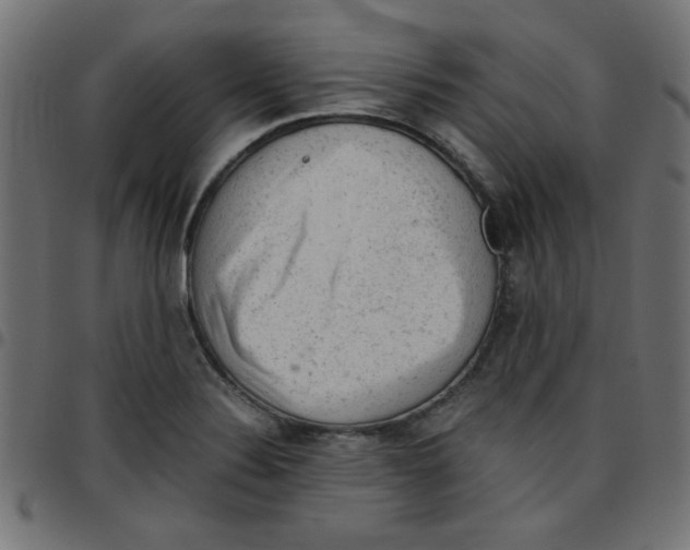 X0000096941324200803070957