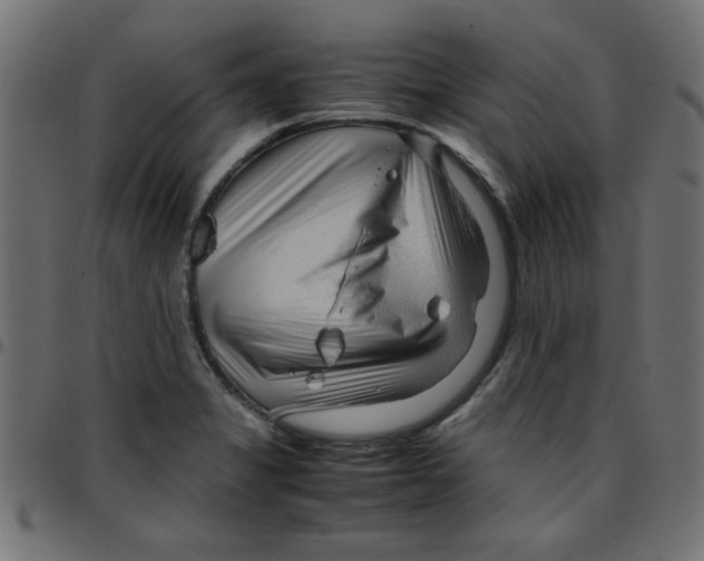 X0000096941325200803070957