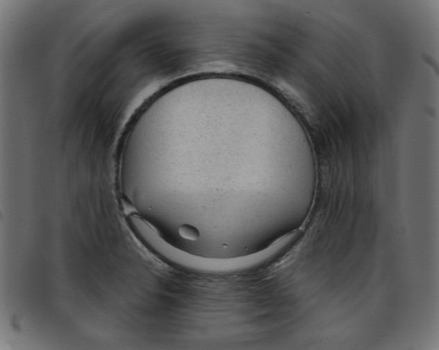 X0000096941326200803070957