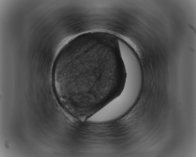 X0000096941327200803070957